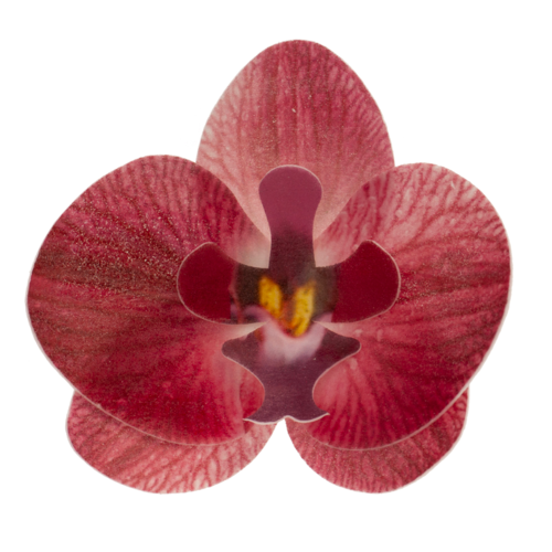 DEKORA WAFER DECORATIONS - BORDEAUX ORCHID