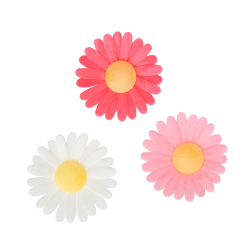 FUNCAKES WAFER PAPER FLOWERS - DAISIES