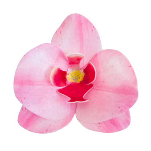 DEKORA WAFER FLOWERS - PINK ORCHID