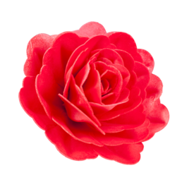 DEKORA GIANT WAFER FLOWER - RED ROSE