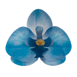 DEKORA WAFER FLOWERS - BLUE ORCHID