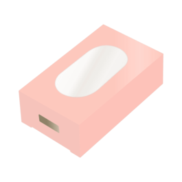 SIMPLY MAKING SET OF ICE CREAM BOXES - PASTEL PEACH (10 U)